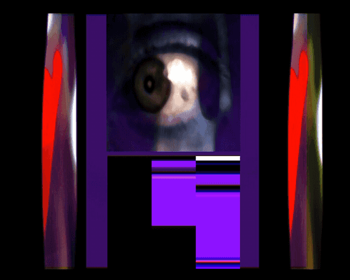 Design from Animation collection