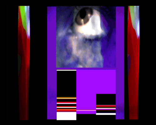 Design from Animation collection