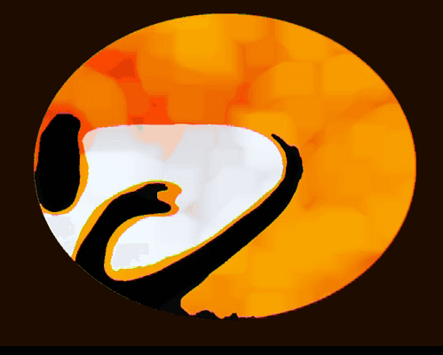 Design from Animation collection