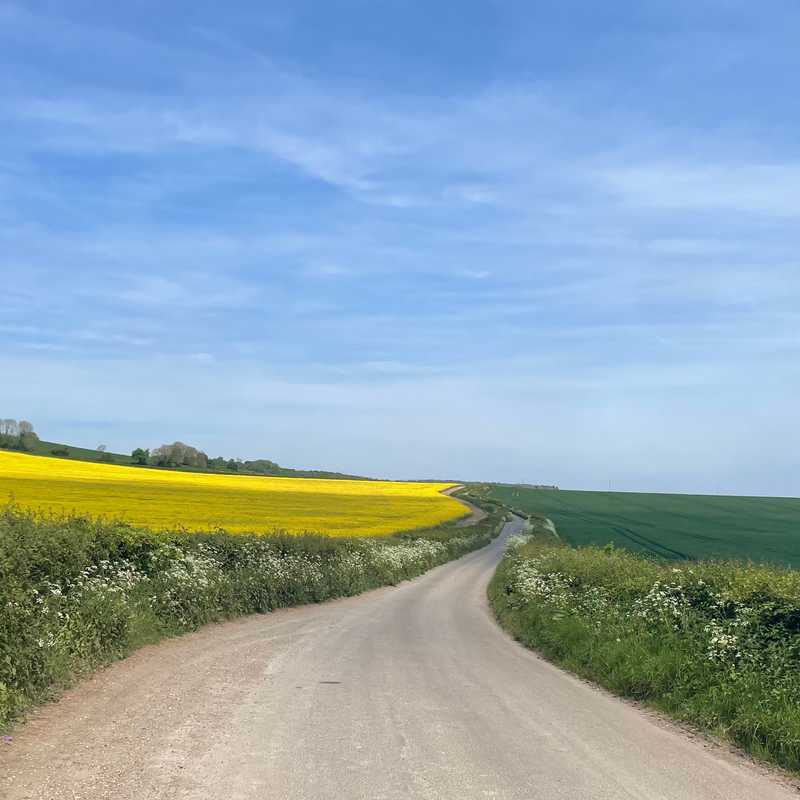 Cycles Kent